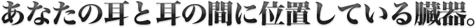 あなたの耳と耳の間に位置している臓器。