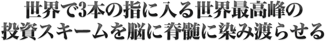 世界で3本の指に入る世界最高峰の投資スキームを脳に脊髄に染み渡らせる